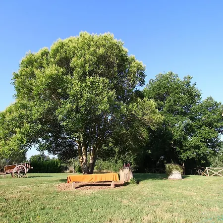 Unique With Pool Casa vacanze