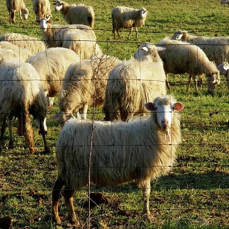 Unique With Pool Sorano (Grosseto)